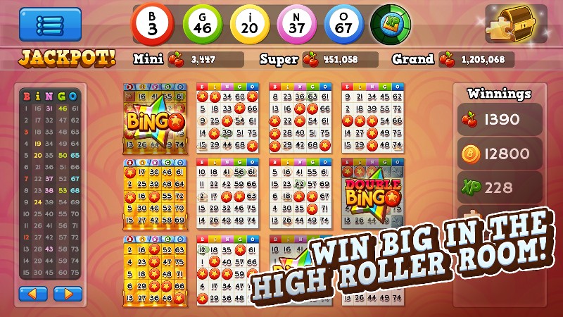 Bingo Pop screenshot 1