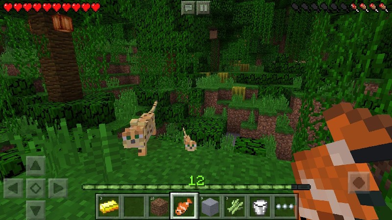 Minecraft screenshot 1