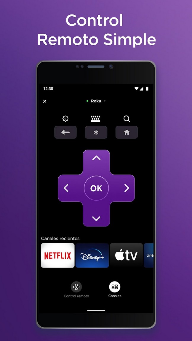 Roku screenshot 1