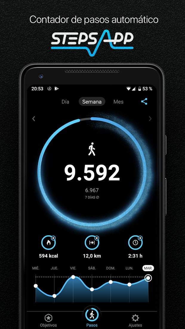 StepsApp screenshot 1